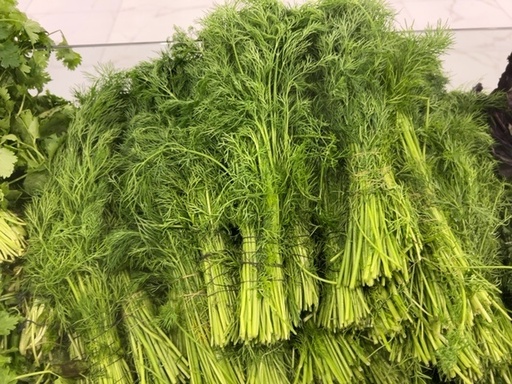 Ukrop (shivit)