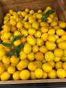 Limon