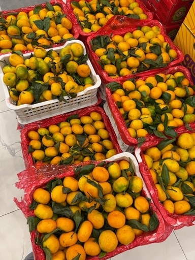 Mandarin bargli