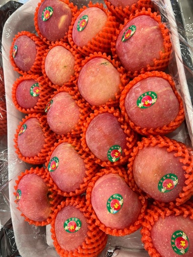 Olma Aport pushti