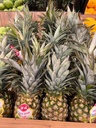 Ananas Kosta-Rika