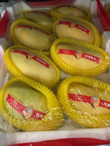 Mango yirik