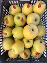 Olma Gold